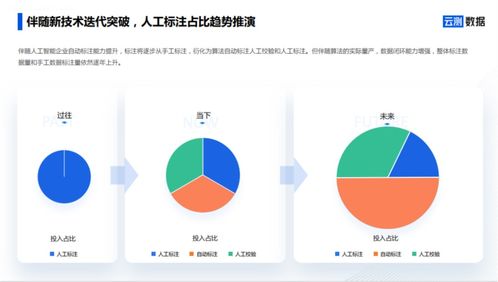 AI數(shù)據(jù)服務(wù) 去偽存真，打通智能駕駛?cè)珗鼍奥涞財?shù)據(jù)閉環(huán)